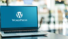 Wordpres-developer